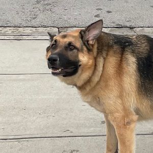 Meet your Posher, Maria